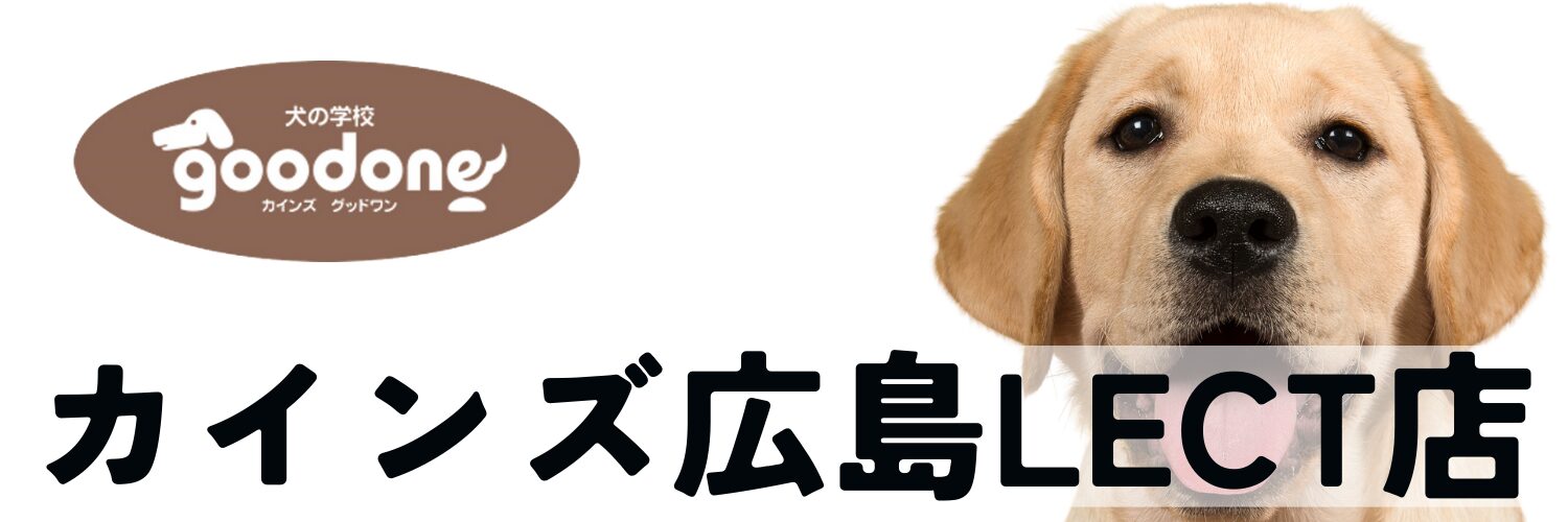 犬の学校 カインズ広島LECT店